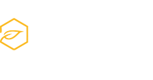 Biobiene Magazin