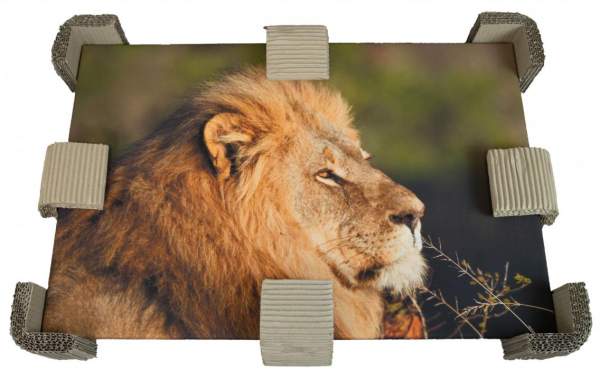 Naturebox® Teleskopverpackung 700x105x950mm | Doppelwellig