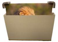 Vorschau: Naturebox® Teleskopverpackung 700x105x950mm | Doppelwellig Vorschau: Naturebox® Teleskopverpackung 700x105x950mm | Doppelwellig