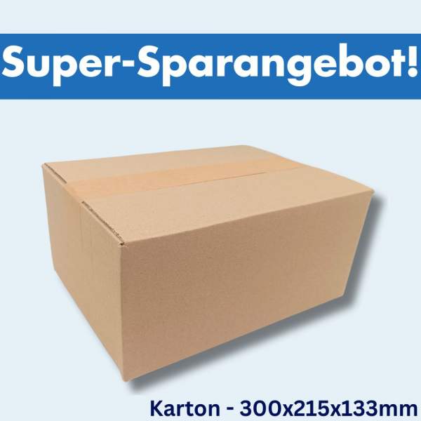 Ecoline-Karton-Päckchen-Paket-300x215x133mm