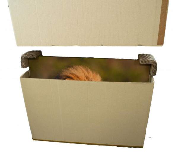 Naturebox® Teleskopverpackung 700x105x950mm | Doppelwellig