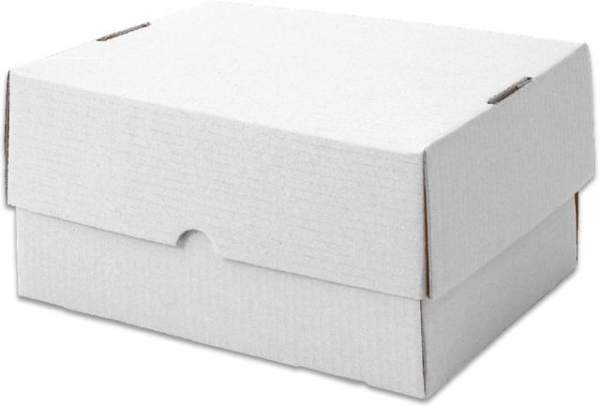 Stülpdeckelkarton aus Wellpappe 435x311x100mm weiß