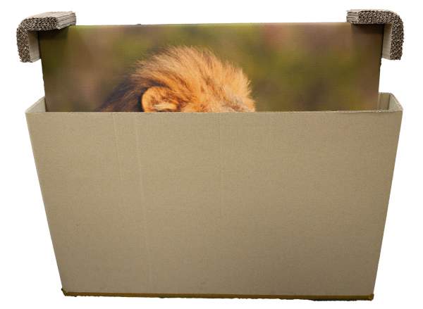 Naturebox® Teleskopverpackung 700x105x950mm | Doppelwellig