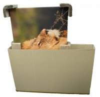 Vorschau: Naturebox® Teleskopverpackung 700x105x950mm | Doppelwellig Vorschau: Naturebox® Teleskopverpackung 700x105x950mm | Doppelwellig