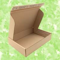 DHL-Versandkarton-umweltfreundlich-35x25x8